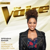 The Complete Season 14 Collection (The Voice Performance) artwork