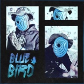 Bluebird artwork