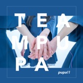 TEAM PUPA - EP artwork