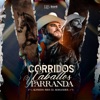 Corridos, Caballos, Y Parranda