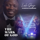 The Mark of God (feat. AKINTAYO AKINTUNDE) artwork