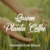 Quem Planta Colhe