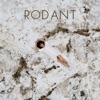 Rodant - Single