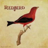 Redbird - Buckets of Rain