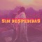 Sin Despedidas (feat. Dem rydell) - ALEX CRUZ lyrics