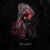 Wound - Single album lyrics, reviews, download
