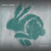 Snow Bunny - Single