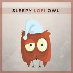 Sleepy Lofi Owl - Single by Lofi Tokyo album reviews, ratings, credits