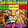 High Grade (feat. Lil David) - Single