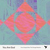 You Are God (feat. Tina Colón Williams) [From Vineyard Soul: The Chicago Sessions] artwork