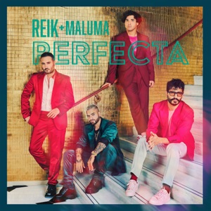 Perfecta - Single