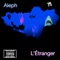 L'Étranger (feat. Aleph, ER DOOD & Amras Narghottrond) - Single