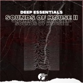 Sounds of House II artwork