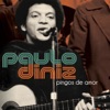 Paulo Diniz - José