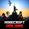 Minecraft - Volume