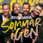 Sommar igen artwork