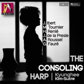 The Consoling Harp artwork