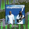 Expérience 7 - Diva