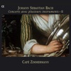 Café Zimmermann - Brandenburg Concerto No. 3 in G Major, BWV 1048: I. Allegro - II. Adagio