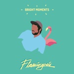 Flamingosis - Next to You