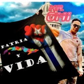 Patria y Vida artwork