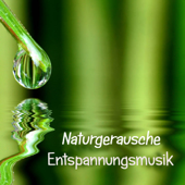 Naturgeräusche Entspannungsmusik - Entspannungsmusik