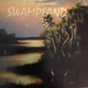 Swampland