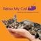 By the Fire - RelaxMyCat lyrics