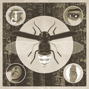 Jerry Cantrell - Brighten - Zortam Music