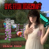 Peach Rings - transgenderification beam (feat. Tape Girl) [Minecraft Version]