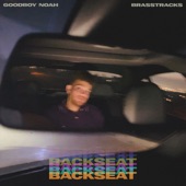 Backseat (with Brasstracks) artwork