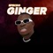 Ginger - Specdo lyrics