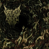 Defeated Sanity - Butchered Identity