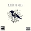 Year of the B.I.R.D