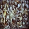 Azamos - Daveli's Cave lyrics