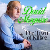 The Town of Kilkee artwork