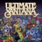 The Game of Love (feat. Tina Turner) - Santana lyrics