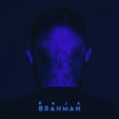 BRAHMAN artwork