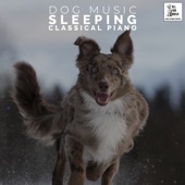 Dog Music - Sleeping Classical Piano artwork