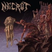 Necrot - Malevolent Intention
