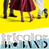 tricolor - Silver Spear