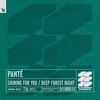 Panté - Shining for You