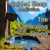 Guided Sleep Meditation: The Healing Spring album lyrics, reviews, download