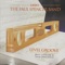 Level Groove - The Paul Spencer Band lyrics