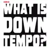 What is Downtempo? - Single album lyrics, reviews, download