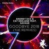 Goodbye 2018 (The Remixes) [feat. Savage] - EP