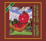 Little Feat - Time Loves a Hero (Live)