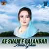 Ae Sham E Qalandar, Vol. 01