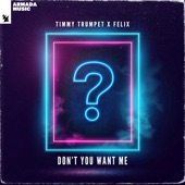 Don't You Want Me (Extended Mix) artwork