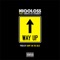 Way Up (feat. Chedda da Connect) - Niqoloss lyrics